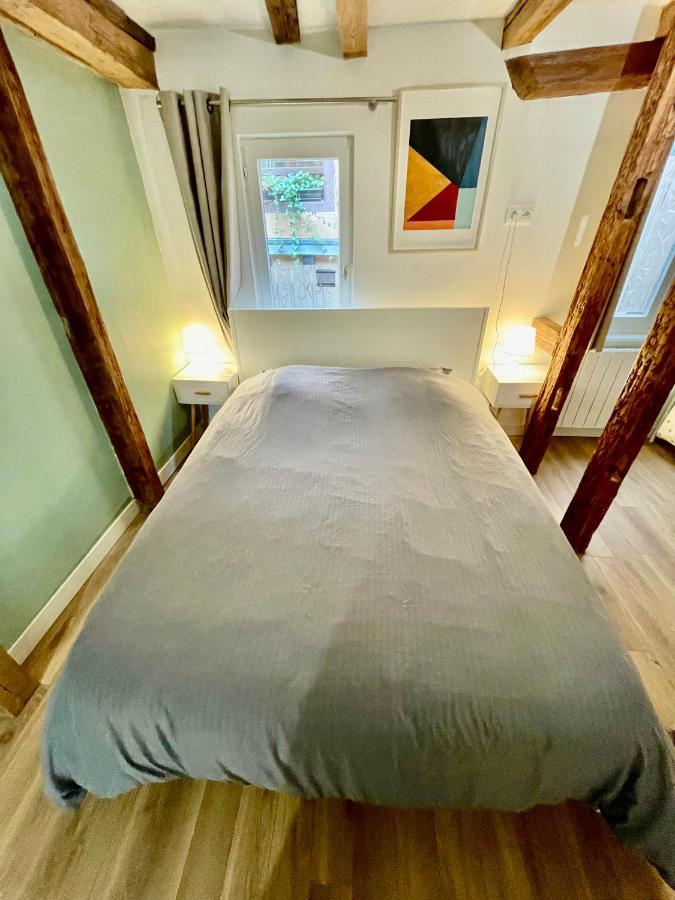 Strasbourg Magnifique Appartement Centre Ville Petite France Zewnętrze zdjęcie