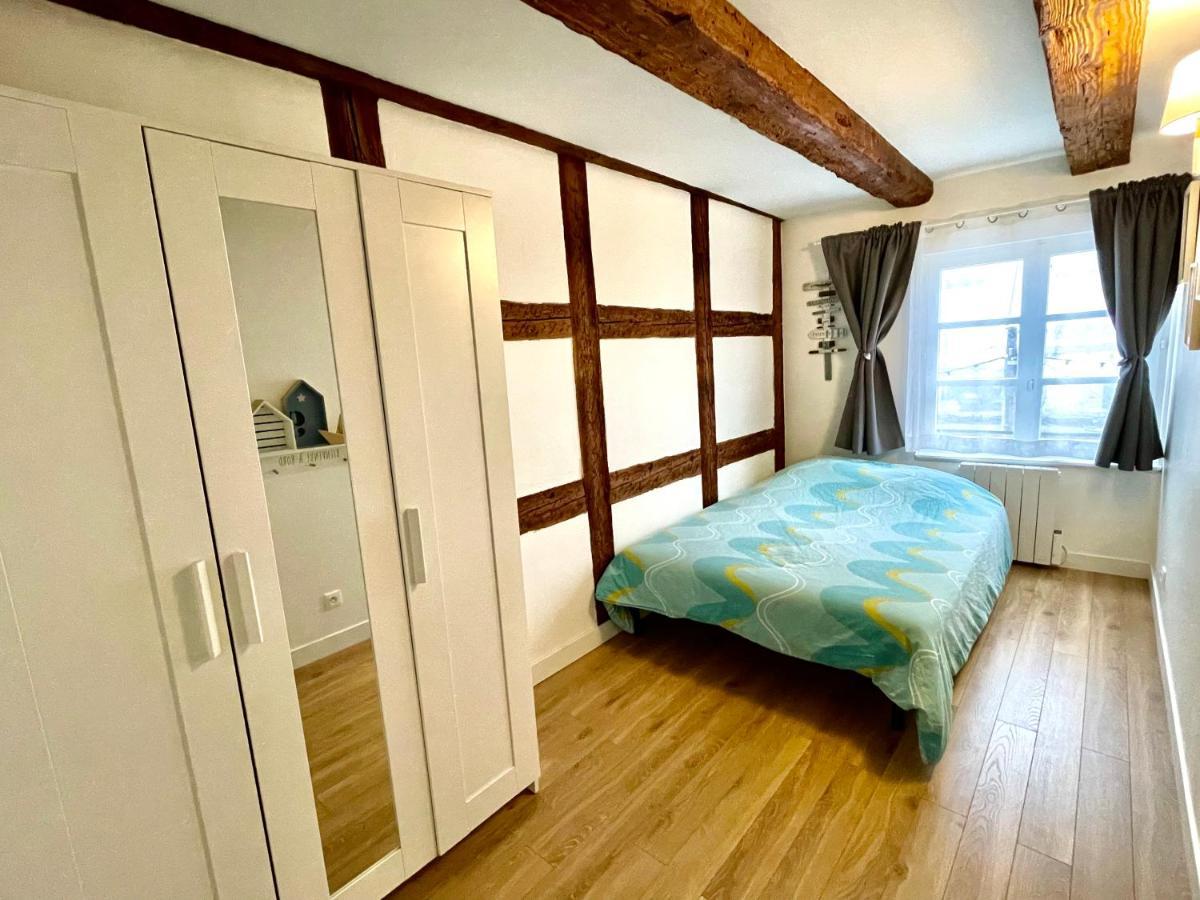 Strasbourg Magnifique Appartement Centre Ville Petite France Zewnętrze zdjęcie